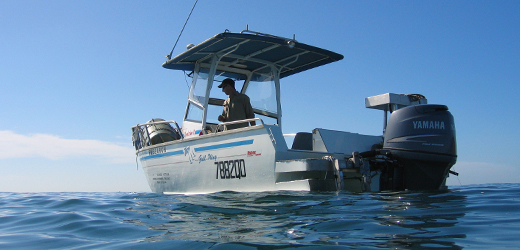 Field investigation boat